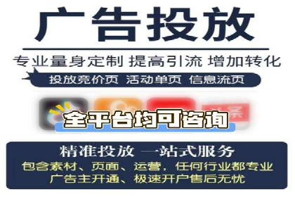 某电商平台的SEM推广策略及效果分析